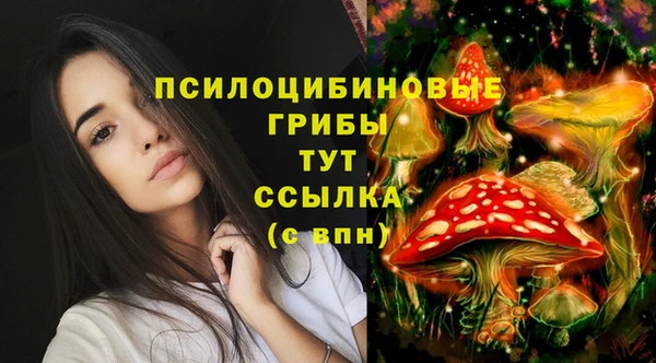 экстази Алексеевка